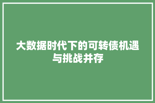 大数据时代下的可转债机遇与挑战并存