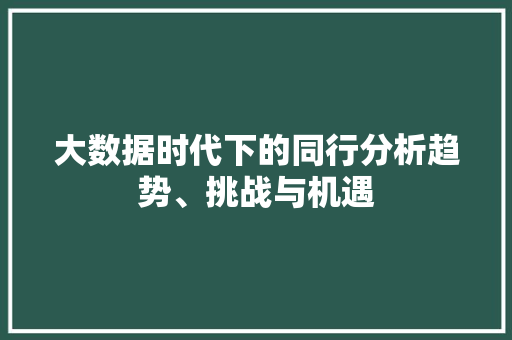 大数据时代下的同行分析趋势、挑战与机遇
