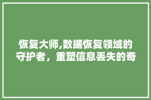 恢复大师,数据恢复领域的守护者，重塑信息丢失的奇迹