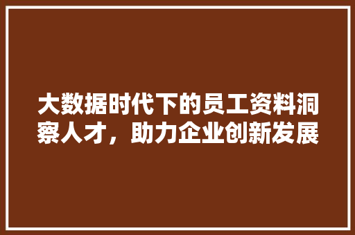 大数据时代下的员工资料洞察人才，助力企业创新发展