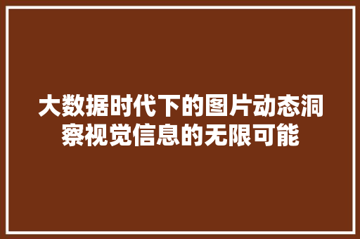 大数据时代下的图片动态洞察视觉信息的无限可能