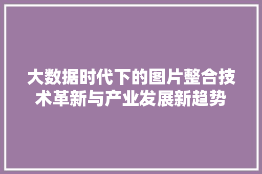 大数据时代下的图片整合技术革新与产业发展新趋势