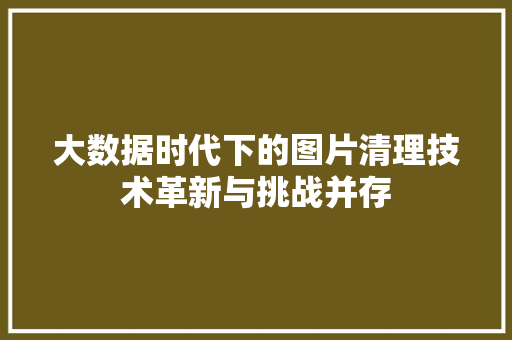 大数据时代下的图片清理技术革新与挑战并存