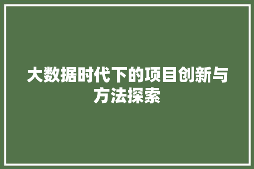 大数据时代下的项目创新与方法探索