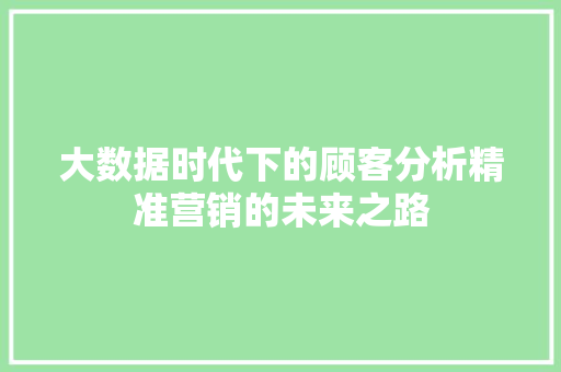 大数据时代下的顾客分析精准营销的未来之路