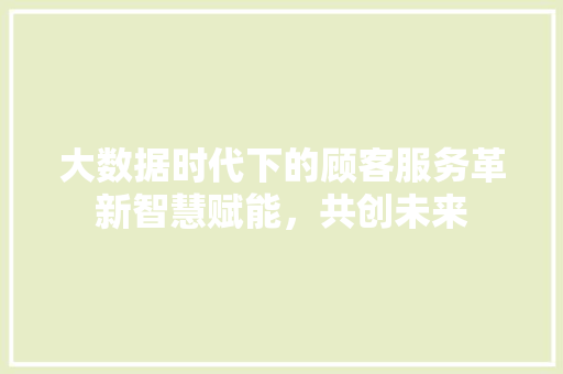 大数据时代下的顾客服务革新智慧赋能，共创未来