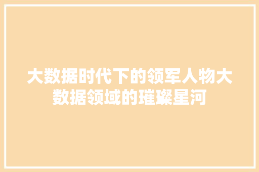 大数据时代下的领军人物大数据领域的璀璨星河