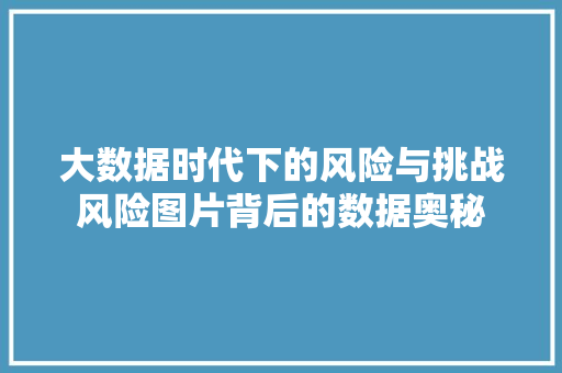 大数据时代下的风险与挑战风险图片背后的数据奥秘