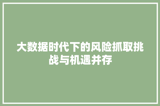 大数据时代下的风险抓取挑战与机遇并存