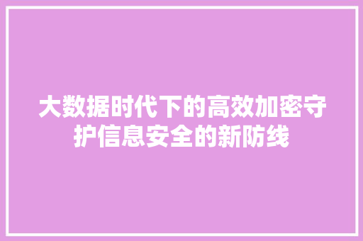 大数据时代下的高效加密守护信息安全的新防线
