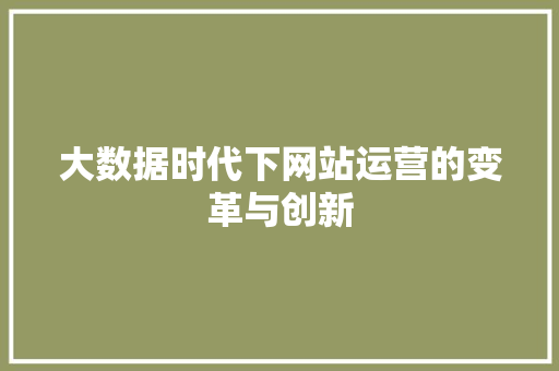 大数据时代下网站运营的变革与创新
