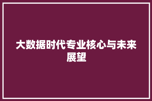 大数据时代专业核心与未来展望