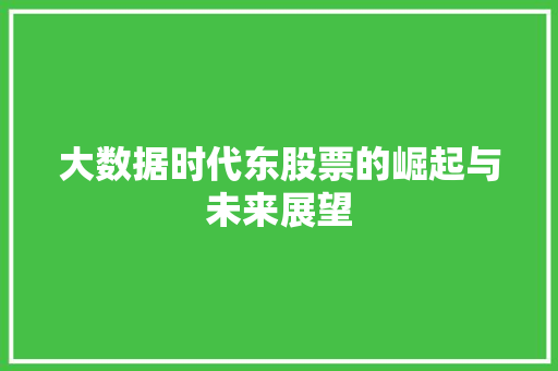 大数据时代东股票的崛起与未来展望