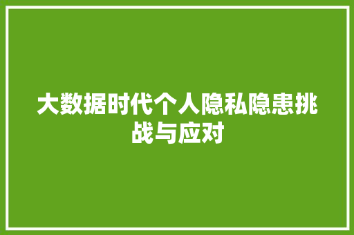大数据时代个人隐私隐患挑战与应对