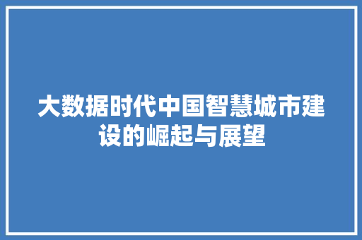 大数据时代中国智慧城市建设的崛起与展望