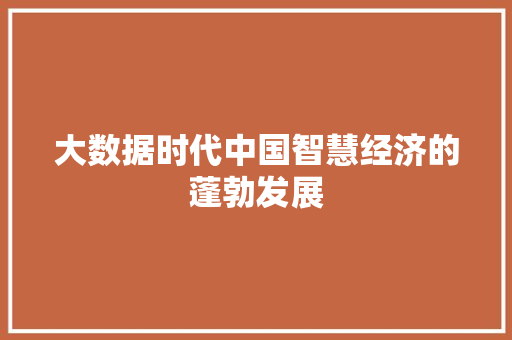 大数据时代中国智慧经济的蓬勃发展
