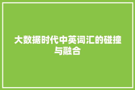 大数据时代中英词汇的碰撞与融合
