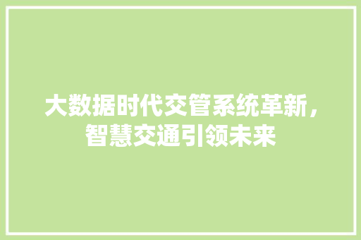 大数据时代交管系统革新，智慧交通引领未来