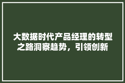 大数据时代产品经理的转型之路洞察趋势，引领创新