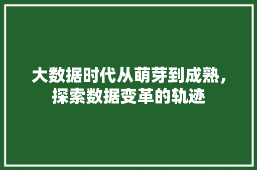 大数据时代从萌芽到成熟，探索数据变革的轨迹