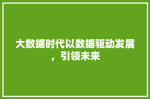 大数据时代以数据驱动发展，引领未来