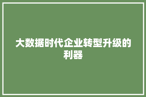 大数据时代企业转型升级的利器