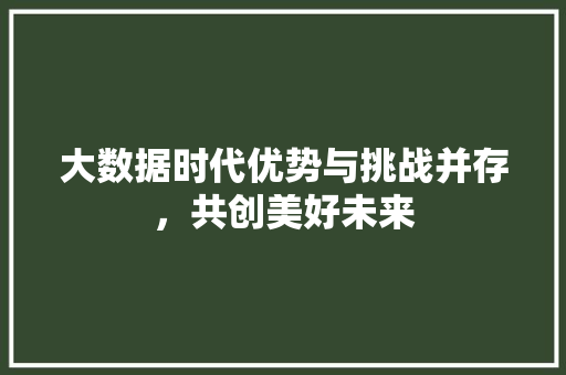 大数据时代优势与挑战并存，共创美好未来