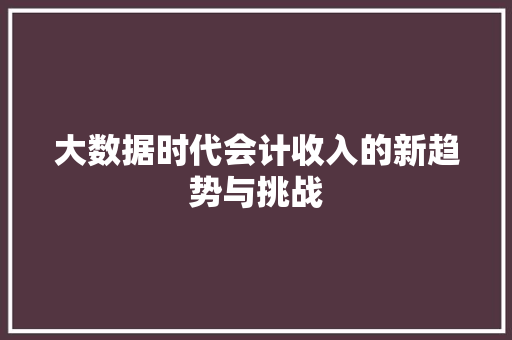 大数据时代会计收入的新趋势与挑战