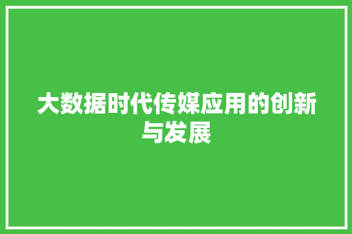 大数据时代传媒应用的创新与发展