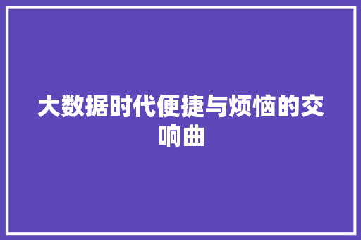 大数据时代便捷与烦恼的交响曲