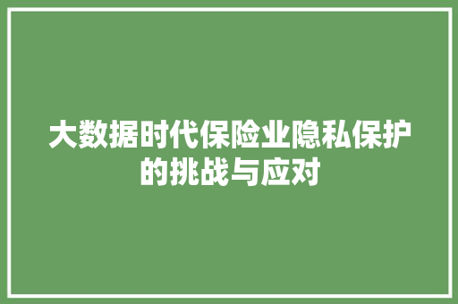 大数据时代保险业隐私保护的挑战与应对
