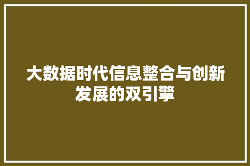 大数据时代信息整合与创新发展的双引擎