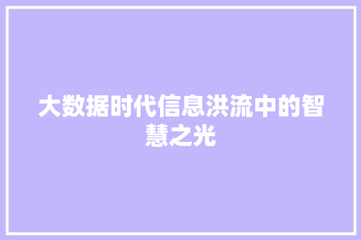 大数据时代信息洪流中的智慧之光