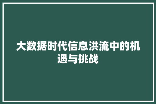 大数据时代信息洪流中的机遇与挑战