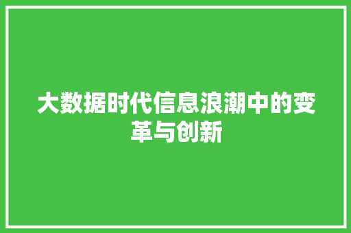 大数据时代信息浪潮中的变革与创新 建站教程