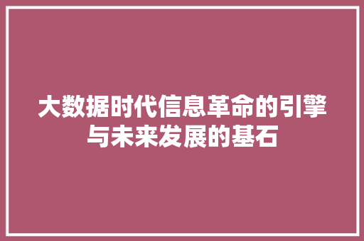 大数据时代信息革命的引擎与未来发展的基石