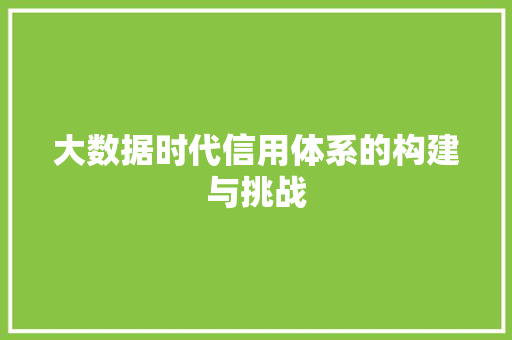 大数据时代信用体系的构建与挑战