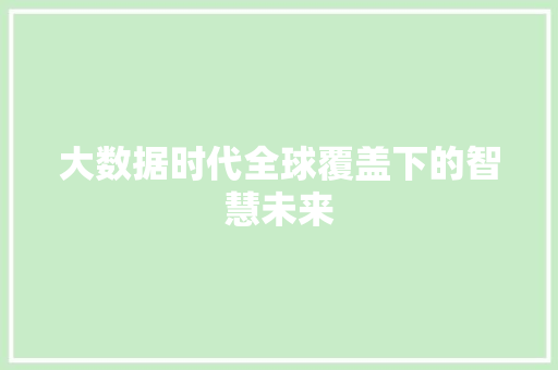 大数据时代全球覆盖下的智慧未来