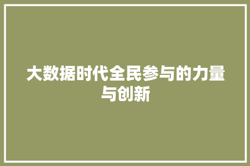 大数据时代全民参与的力量与创新