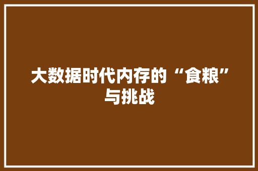 大数据时代内存的“食粮”与挑战