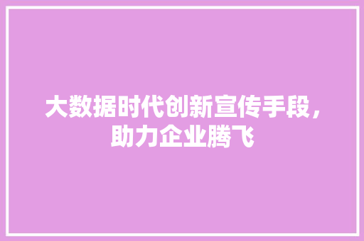大数据时代创新宣传手段，助力企业腾飞