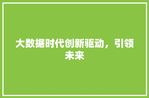 大数据时代创新驱动，引领未来