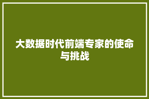 大数据时代前端专家的使命与挑战 WordPress教程