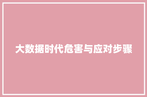 大数据时代危害与应对步骤