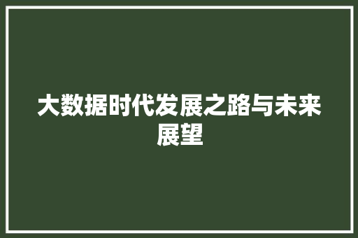 大数据时代发展之路与未来展望
