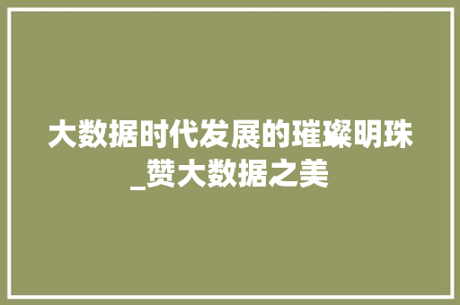 大数据时代发展的璀璨明珠_赞大数据之美