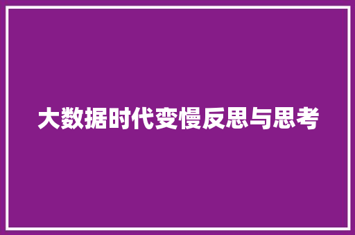 大数据时代变慢反思与思考