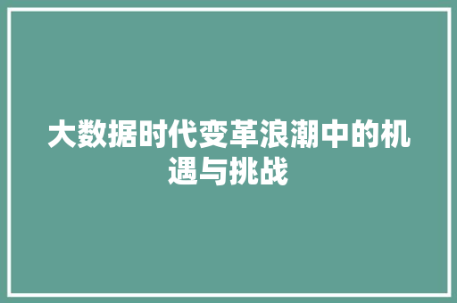 大数据时代变革浪潮中的机遇与挑战