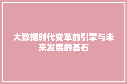大数据时代变革的引擎与未来发展的基石