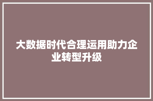大数据时代合理运用助力企业转型升级